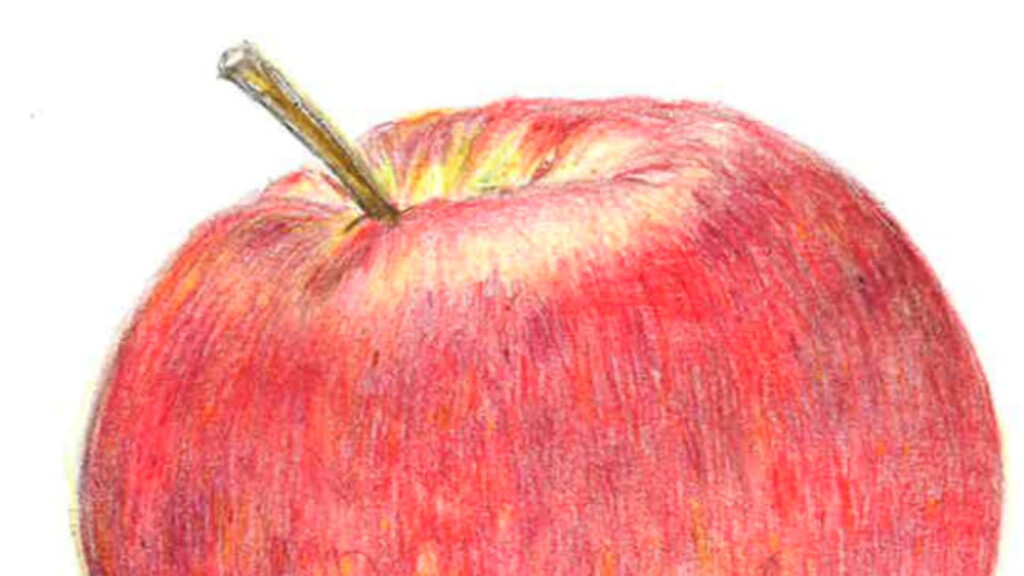 混リンゴの絵の質感